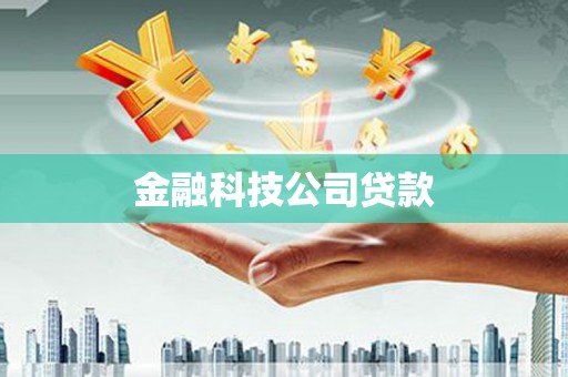 石棉金融科技公司贷款