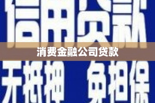 石棉消费金融公司贷款