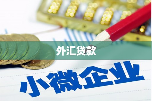 石棉外汇贷款