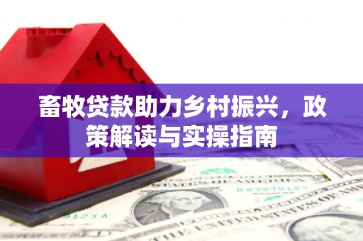 石棉畜牧贷款助力乡村振兴，政策解读与实操指南