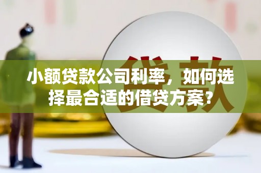 石棉小额贷款公司利率，如何选择最合适的借贷方案？