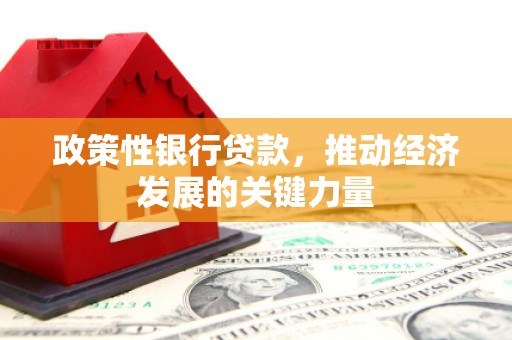 石棉政策性银行贷款，推动经济发展的关键力量