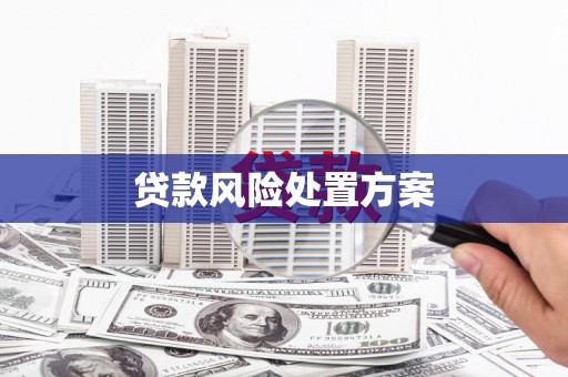 石棉贷款风险处置方案